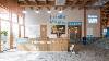 Archi dog 6