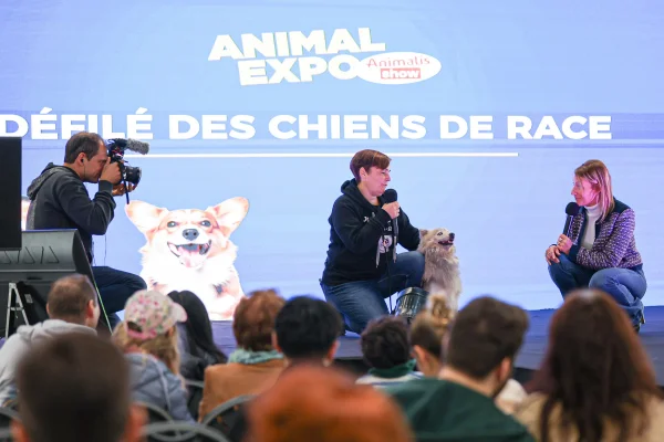 Communiqué de presse 2026