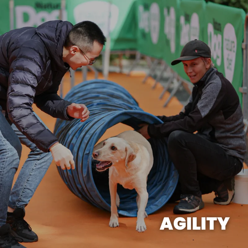 Agility