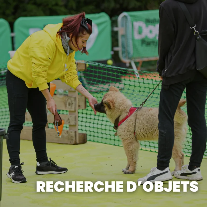 Recherche d'objet
