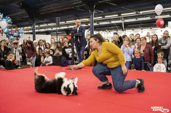 2022AnimalExpo-694.jpg