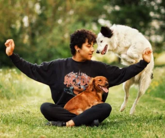 @doggywayy