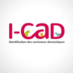 I-CAD