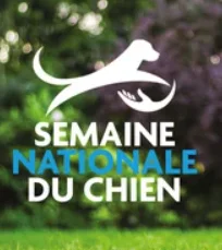 SCC SEMAINE DU CHIEN