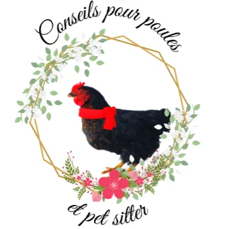 CONSEIL POUR POULES