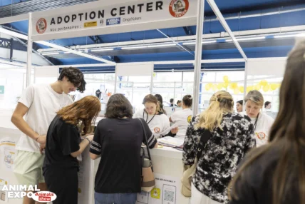 Découvrir notre centre d'adoption