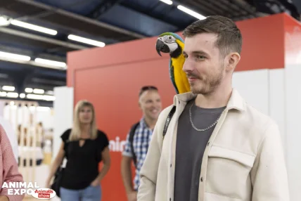 Voir les oiseaux autrement