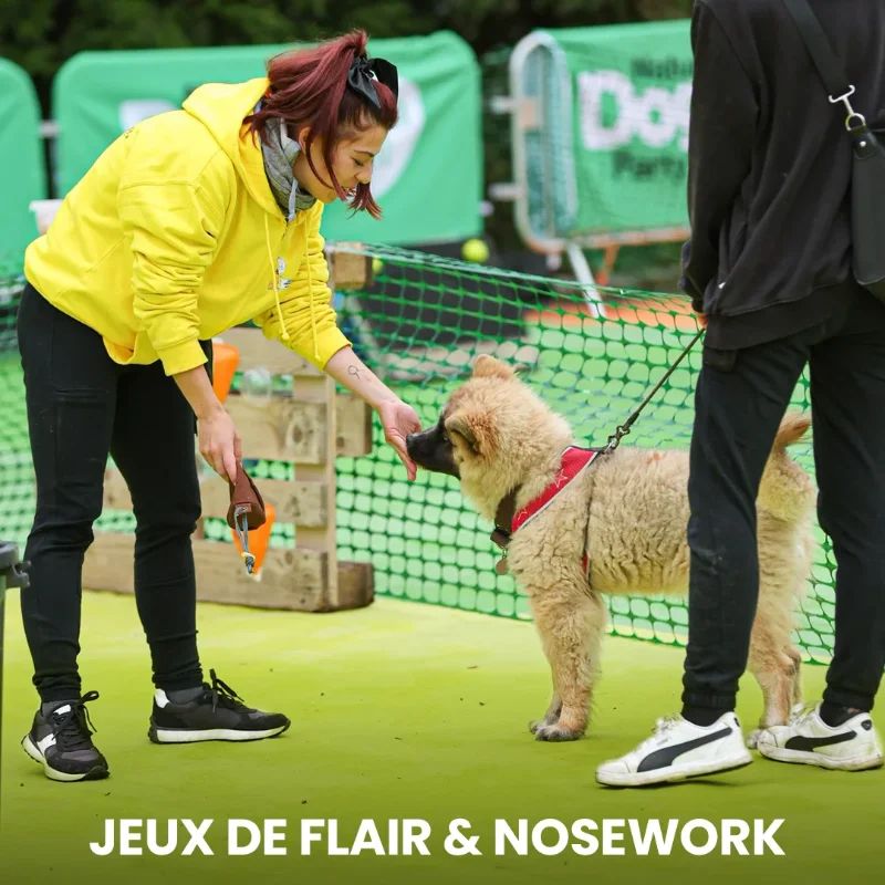 Jeux de flair & Nosework
