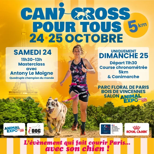 Le rendez-vous sportif que tous les chiens vont adorer !