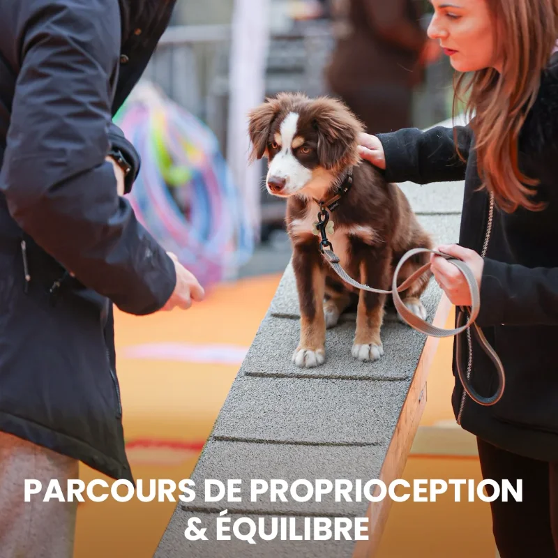 Parcours de proprioception & équilibre