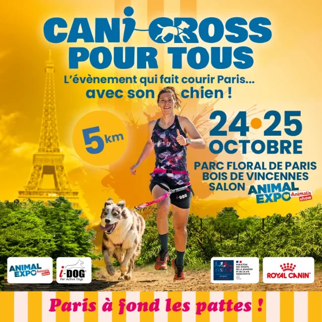 Le rendez-vous sportif que tous les chiens vont adorer !