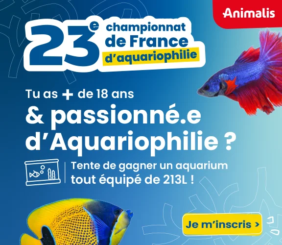 23ème championnat de France d'aquariophilie !