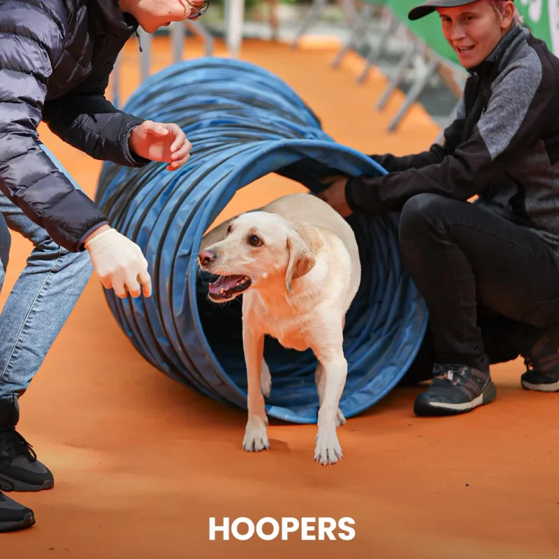 HOOPERS