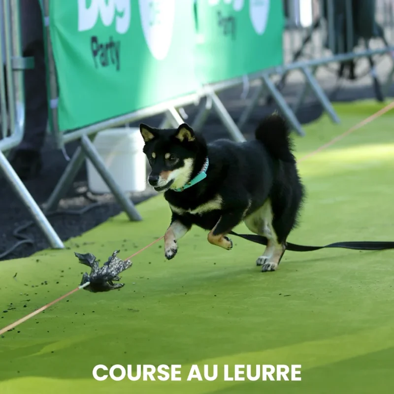 COURSE AU LEURRE