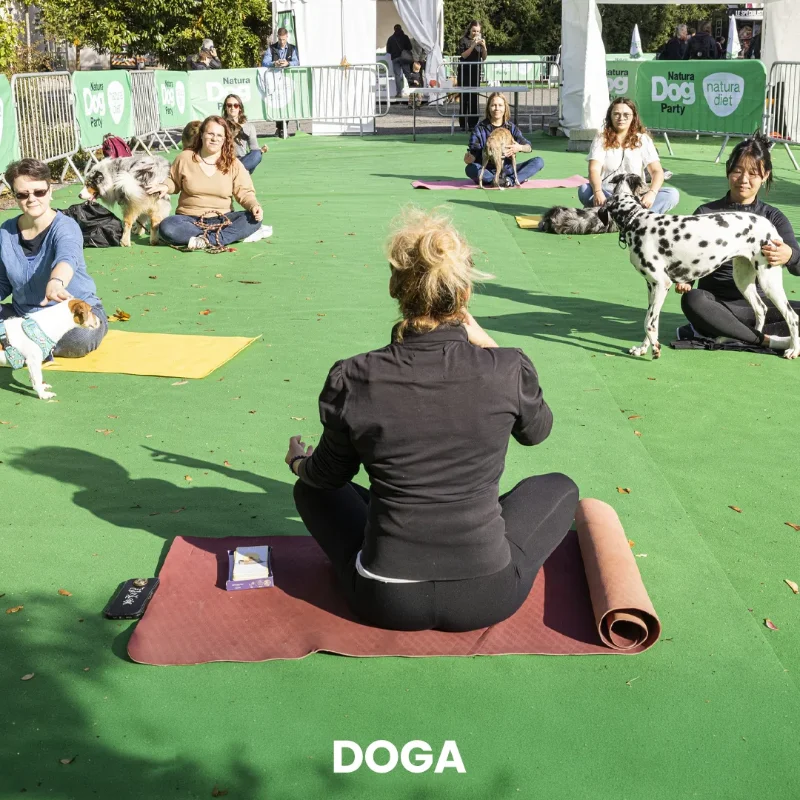 Doga