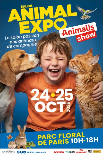 TOUT CE QUE VOUS DEVEZ SAVOIR SUR LE SALON